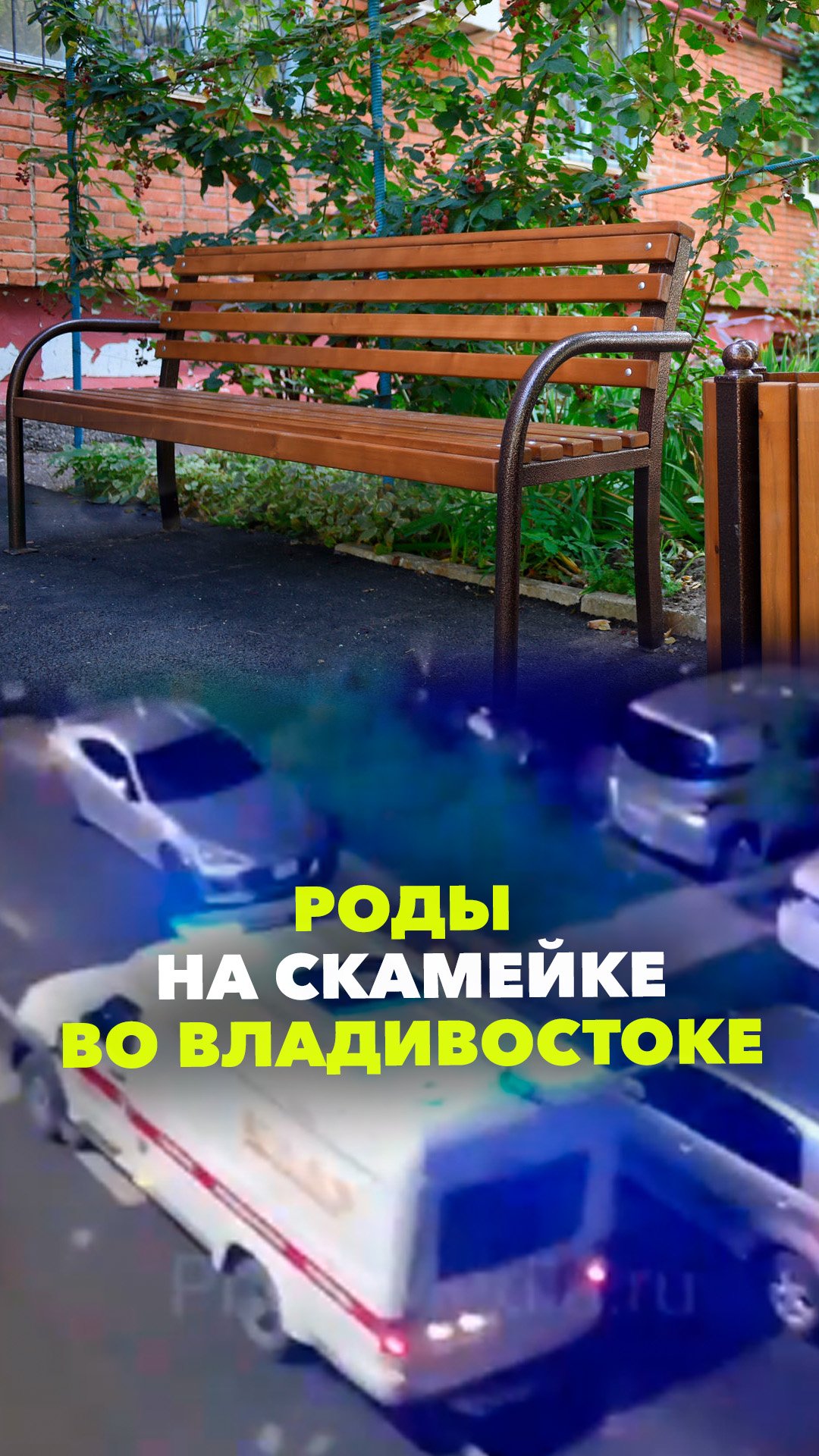 Женщина родила на скамейке во дворе, не дождавшись скорой помощи во Владивостоке