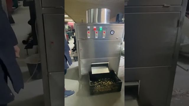 Очиститель чеснока МОЧ—500 в работе! смотреть онлайн