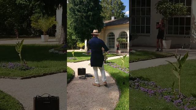 Woman - Electric violin, Park Schönbusch, Bavaria, Germany смотреть онлайн