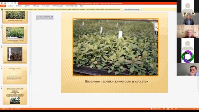 Опыт НПЦ  "Фитогенетика" по выращиванию саженцев in-vitro. Шипунова А.А.