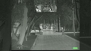 Тепловизионные прицелы Fortuna General 50l6S и 50l3S. В чём отличие от старых моделей?