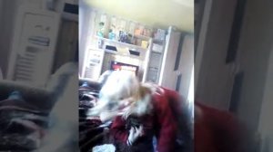 Сёстры бьют брата