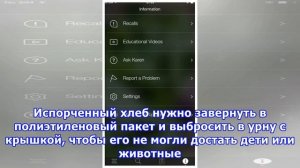 Хлеб с плесенью: выбросить или обрезать и съесть?