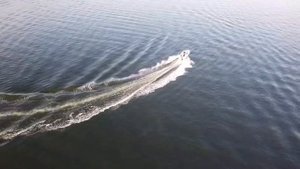 Bayliner 1702 LS Capri / 75HP Force (By Mercury)