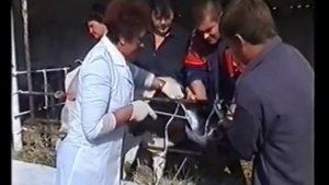 Таврение жидким азотом.wmv