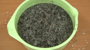 КАК СДЕЛАТЬ БИОТОПЛИВО ИЗ БУМАГИ!