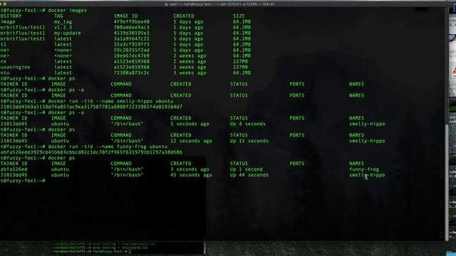 Docker Container vs Image смотреть онлайн