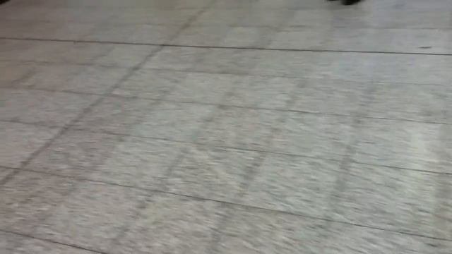 Аэропорт дети проходят регистрацию.