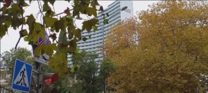 Сочи. Прогулка по ул. Орджоникидзе