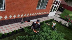 Топиарная Стрижка. Казацкий можжевельник тамарисцифолия. Как подстричь казацкий?