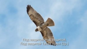 Буду жить под защитой Твоих крыл - христианская песня ( караоке ) Песня Жизни Christian music