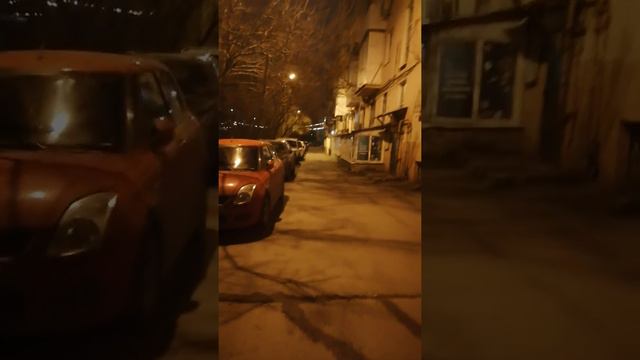 Мысли о Тайгане. Как здесь живется кошкам. Культура в парке львов. смотреть онлайн