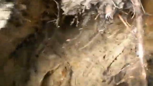 Нет! Вермахт мы не берем!!! смотреть онлайн