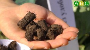 Разработка метода утилизации конского навоза с получением органоминеральных гранул