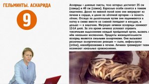 Ольга Бутакова. Осторожно, гельминты!