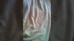 Свезал брата часть 2