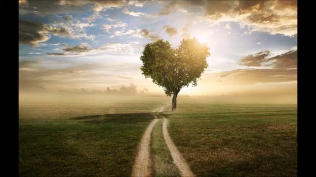 Вечернее расслабление Благодарность за уроки Настрой на день смотреть онлайн