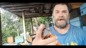 Как быстро перевести пчел из 145 рамки на 300.