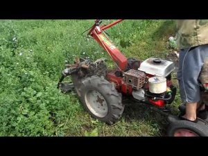 Второе скашивание люцерны с мотоблоком Агро.