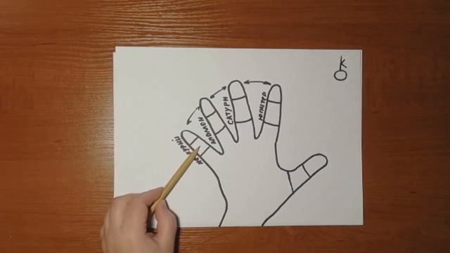Хиромантия. Фаланги пальцев.