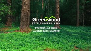 GreenWood музыка леса