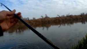 Отчет  за октябрь 2019.Рыбалка в Липецкой области на реке Дон.