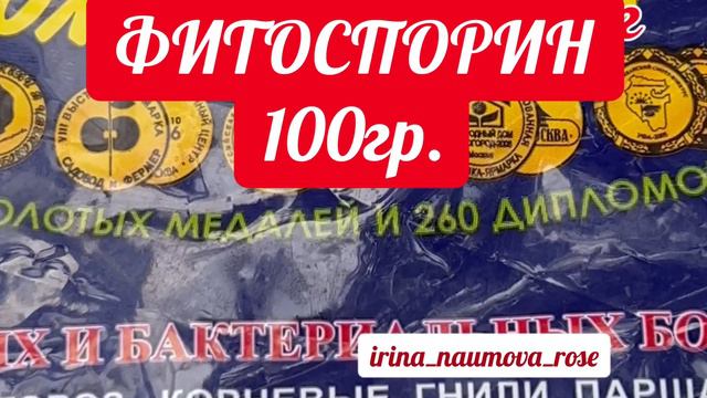 Секрет пышного цветения роз. Розы в саду.