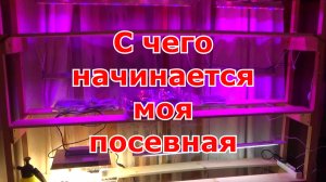 Простой разборный стеллаж из дерева с подсветкой своими руками . Подготовка к началу посевной.