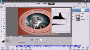 Adobe Photoshop Elements 12 Tutorial Layers Employee Group Training 10.10