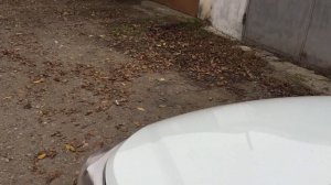 Волговский сигнал на Hyundai Creta