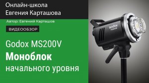 Godox MS200V. Хороший выбор для начинающих фотографов.