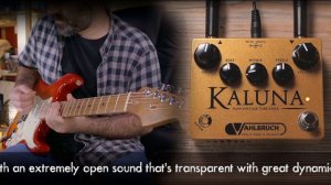 Vahlbruch FX KALUNA - High Voltage Tube Drive