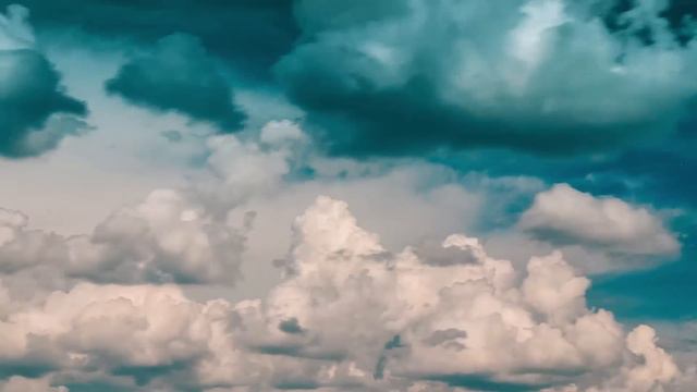 ВОЛОГДА - СБОРНАЯ СОЮЗА 2015г. смотреть онлайн