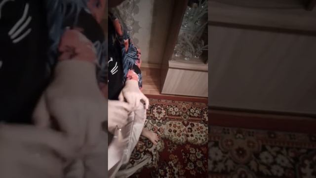 Классная Сумка-трансформер. Отзыв смотреть онлайн