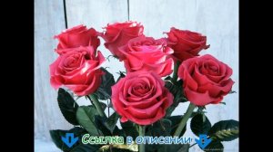 ?Как правильно купить розы: советы, рекомендации