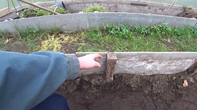 ПРАВИЛЬНЫЕ ГРЯДКИ В ТЕПЛИЦЕ. ЛУЧШАЯ ЗАЩИТА ОТ ГРЫЗУНОВ.