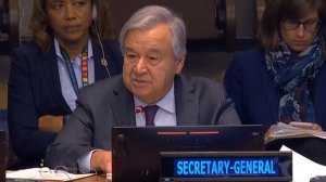 Что скажете?