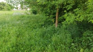 Бензокоса - это такая хорошая игрушка ???.