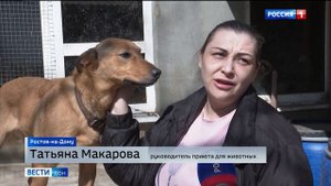 Нечем кормить постояльцев: приют для бездомных животных Ростова просит помощи