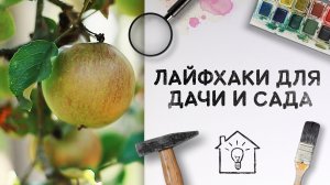 Лайфхаки для дачи и сада [Идеи для жизни]