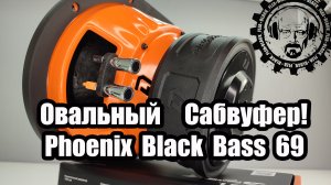 Овальный Сабвуфер! Phoenix Black Bass 69! Новинка от DL Audio!