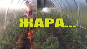 ЖАРА, РАБОТА ВСТАЛА // КАДРЫ ОДНОГО ДНЯ, индюки, огород, куры...