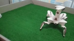 3D принтер, робот-собака Чип и робот-краб