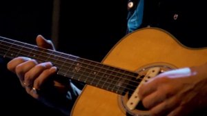 Die Toten Hosen // Opel-Gang (Unplugged im Wiener Burgtheater)