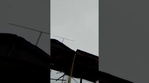 голуби Липецкой области в Волово у Сергея.
