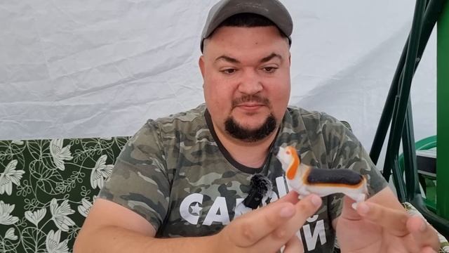 СОБАКИ СЕРИЯ DOMINATOR от Сбабам