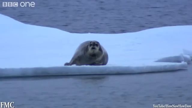 Вот что с нами происходит.когда мы видим это смотреть онлайн