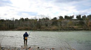 Не упусти момент! Когда начинается осенний жор у щуки и она ловится на все подряд? Осенний жор щуки