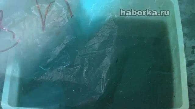 Пехотная лопата СССР времен Великой Отечественной войны и кислота смотреть онлайн