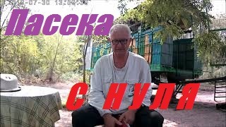 Как пчелы делают мёд.С чего начать пчеловодство.Пчеловодство с нуля.